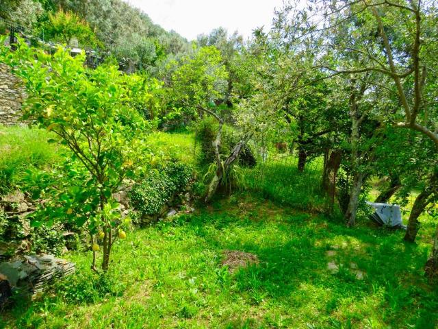 Villa Indipendente in vendita a Levante, Serra Riccò