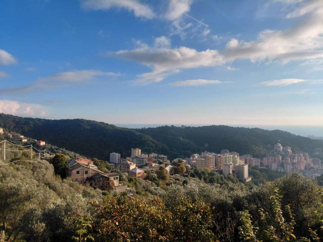 Villa Indipendente in vendita a Bassa Val Bisagno, Serra Riccò