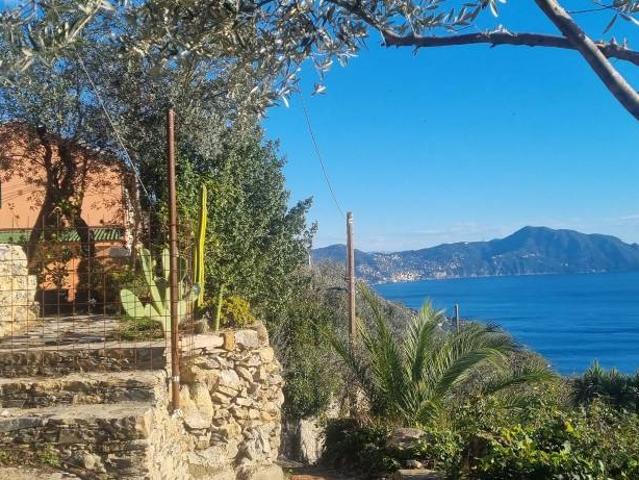 Villa Indipendente in vendita a Levante, Serra Riccò
