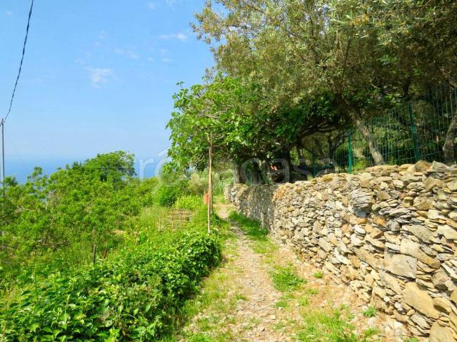 Villa Indipendente in vendita a Levante, Serra Riccò