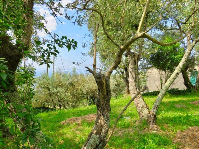 Villa Indipendente in vendita a Levante, Serra Riccò