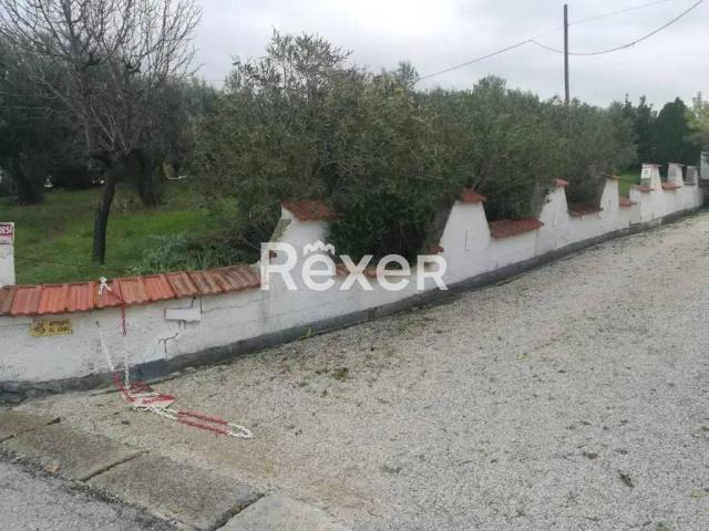 Villa Indipendente in vendita a Gissi, Abruzzo