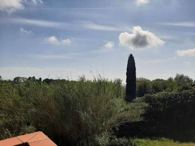 Villa Indipendente in vendita a Guardistallo, Toscana