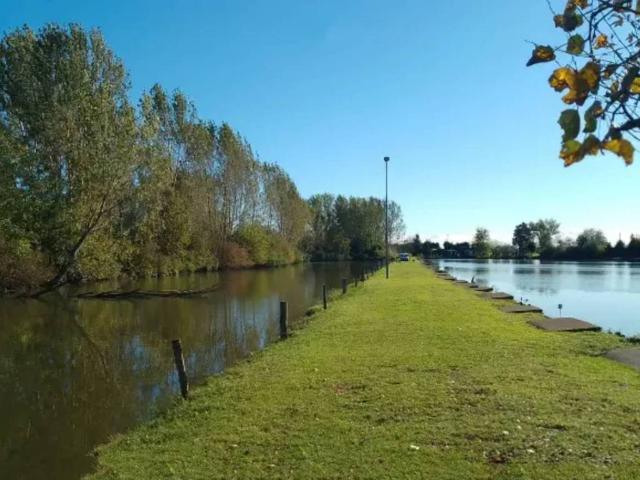 Villa Indipendente in vendita a Gussola, Lombardia