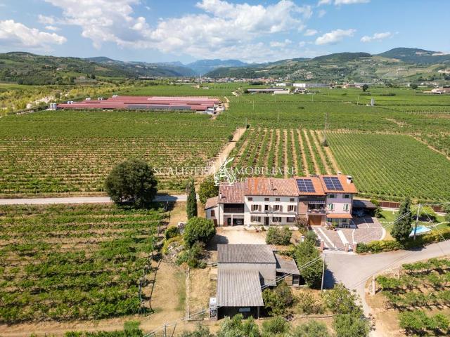 Villa Indipendente in vendita a Illasi, Veneto