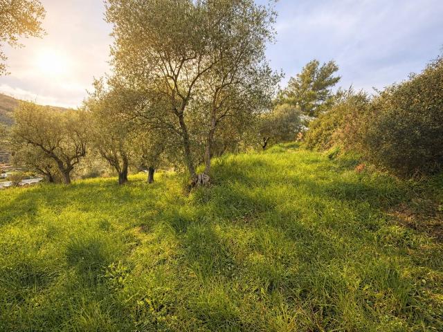 Villa Indipendente in vendita a Clavi, Imperia