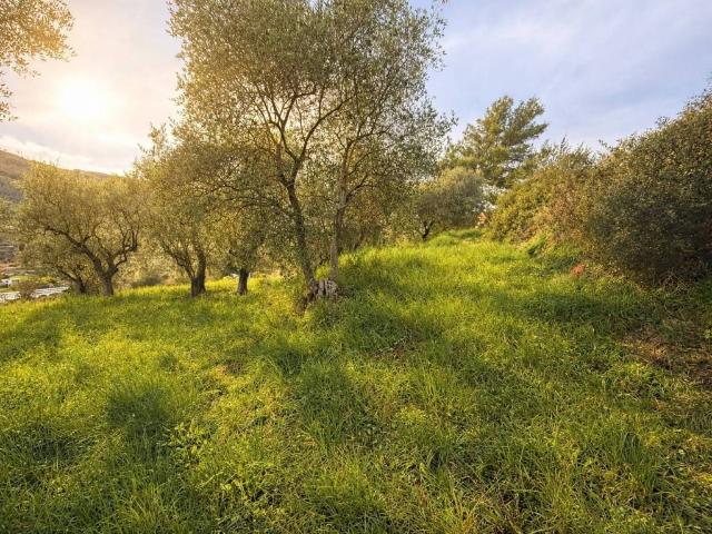 Villa Indipendente in vendita a Clavi, Imperia