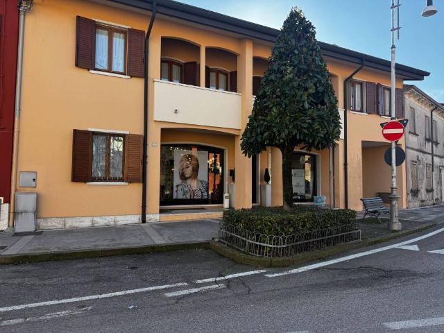 Villa Indipendente in vendita a Isola Rizza, Veneto