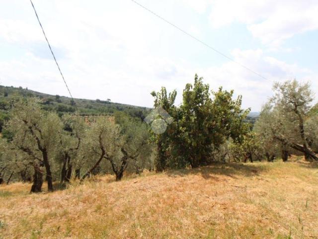 Villa Indipendente in vendita a Borgano, Lamporecchio