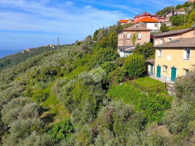Villa Indipendente in vendita a Sorlana, Lavagna