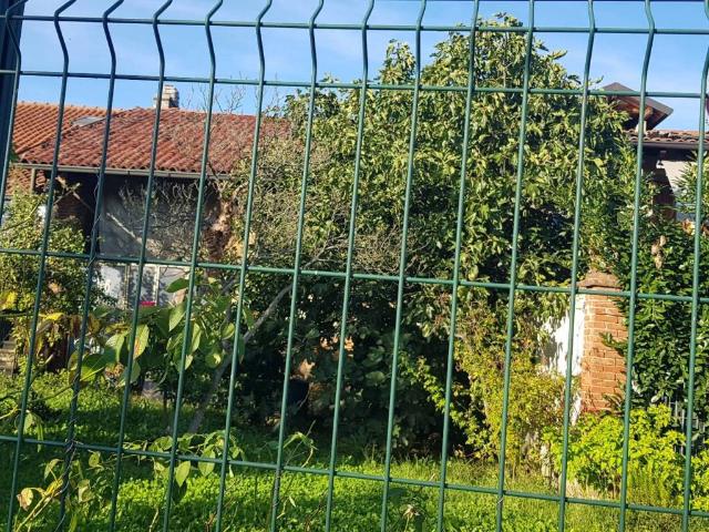 Villa Indipendente in vendita a Canova, Piemonte