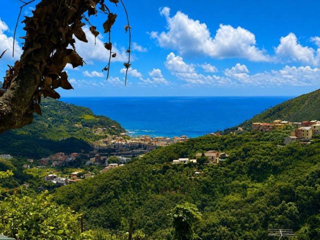 Villa Indipendente in vendita a Levanto, Liguria