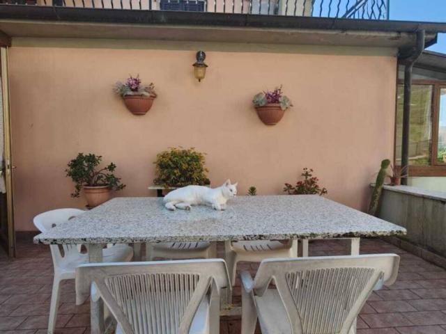 Villa Indipendente in vendita a Unione di comuni Montana Lunigiana, Licciana Nardi