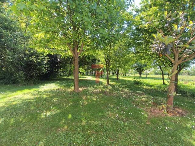 Villa Indipendente in vendita a Limena, Veneto