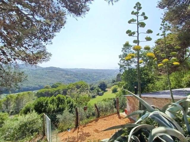 Villa Indipendente in vendita a Livorno