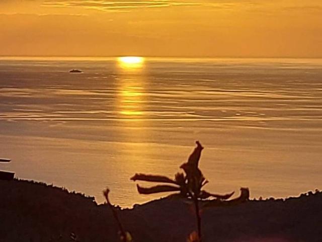 Villa Indipendente in vendita a Montenero basso, Livorno