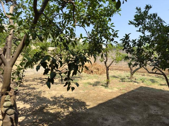 Villa Indipendente in vendita a Puglia, Lecce