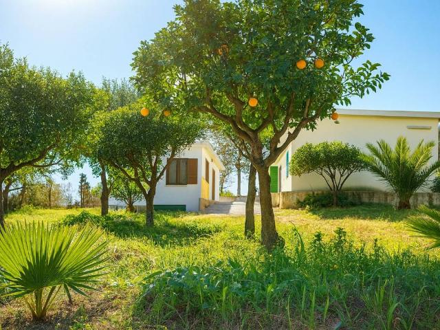 Villa Indipendente in vendita a Calabria, Reggio Calabria
