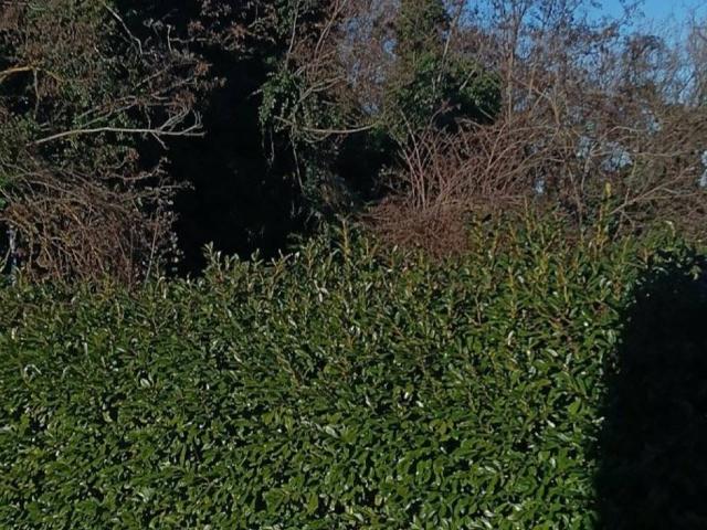 Villa Indipendente in vendita a Unione dei comuni Savena-Idice, Loiano