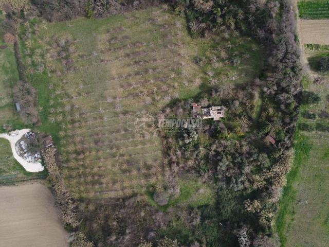 Villa Indipendente in vendita a Marche, Ancona