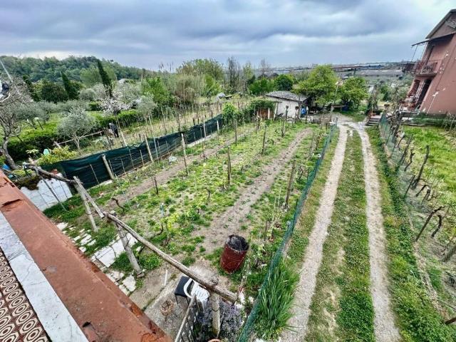 Villa Indipendente in vendita a Dogana, Luni