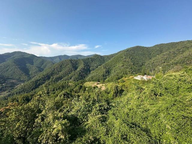 Villa Indipendente in vendita a Portonetti, Luni