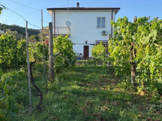 Villa Indipendente in vendita a Isola, Luni