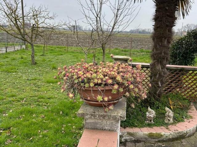Villa Indipendente in vendita a Bassa Reggiana, Re