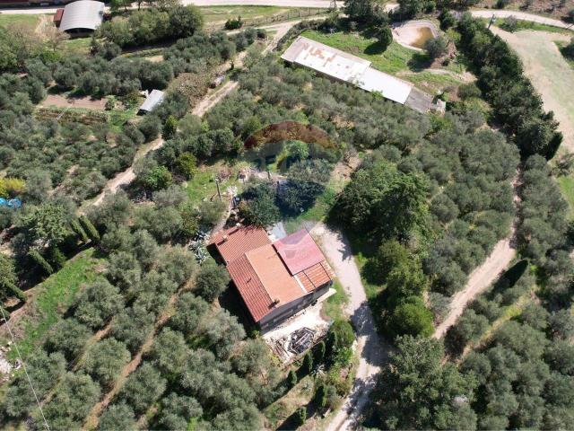 Villa Indipendente in vendita a Magione, Umbria