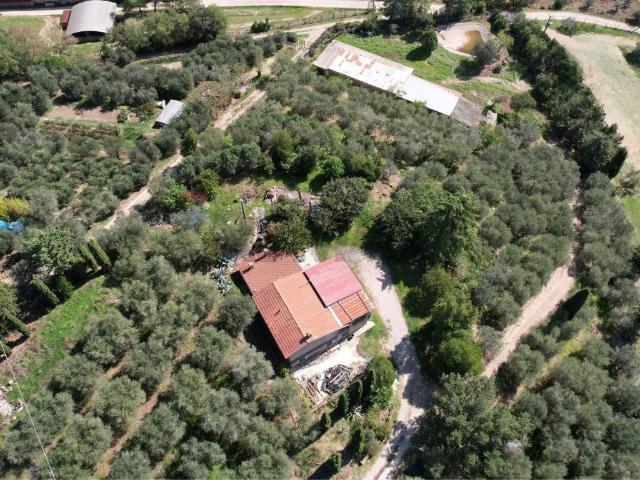 Villa Indipendente in vendita a Magione, Umbria