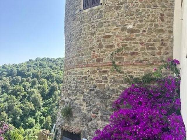 Villa Indipendente in vendita a Magliano In Toscana, Toscana