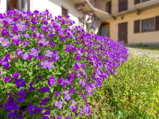 Villa Indipendente in vendita a Piemonte, Biella