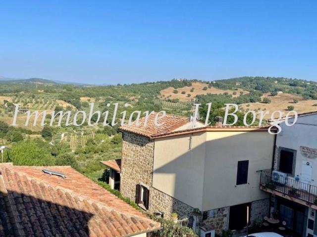 Villa Indipendente in vendita a Unione di Comuni Montani Colline del Fiora, Manciano