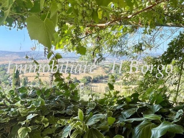 Villa Indipendente in vendita a Unione di Comuni Montani Colline del Fiora, Manciano