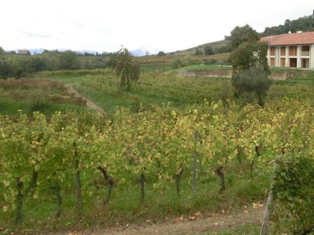 Villa Indipendente in vendita a Manzano, Friuli-Venezia Giulia