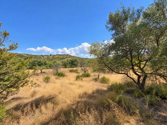Villa Indipendente in vendita a Maracalagonis, Casteddu/Cagliari