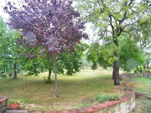 Villa Indipendente in vendita a Marciano della Chiana, Arezzo