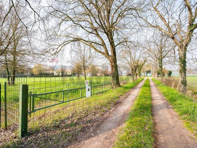 Villa Indipendente in vendita a Marmirolo, Lombardia