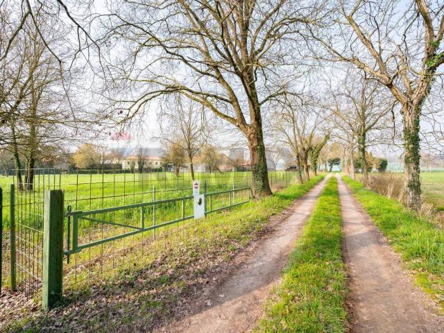 Villa Indipendente in vendita a Marmirolo, Lombardia