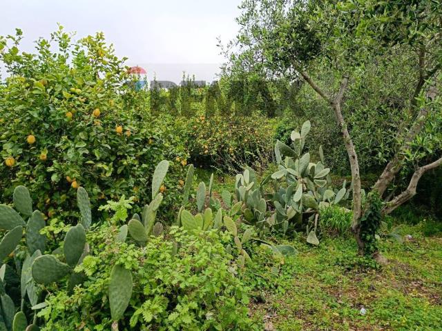 Villa Indipendente in vendita a Mascali, Sicilia