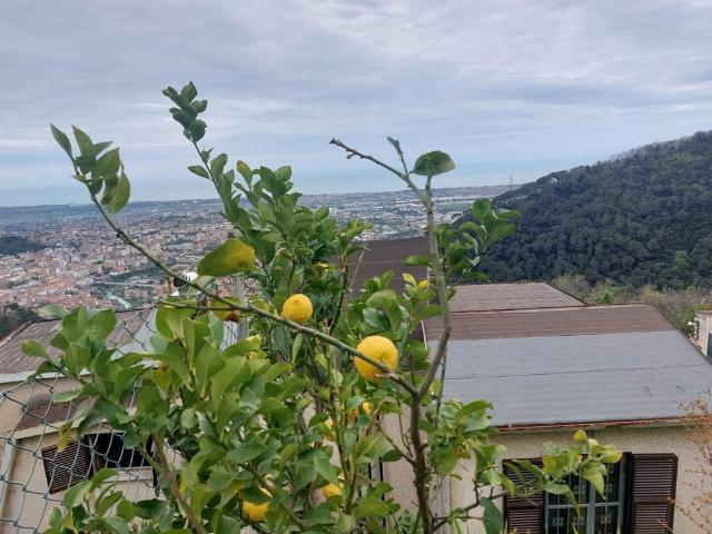 Villa Indipendente in vendita a Lavacchio, Marina Di Massa