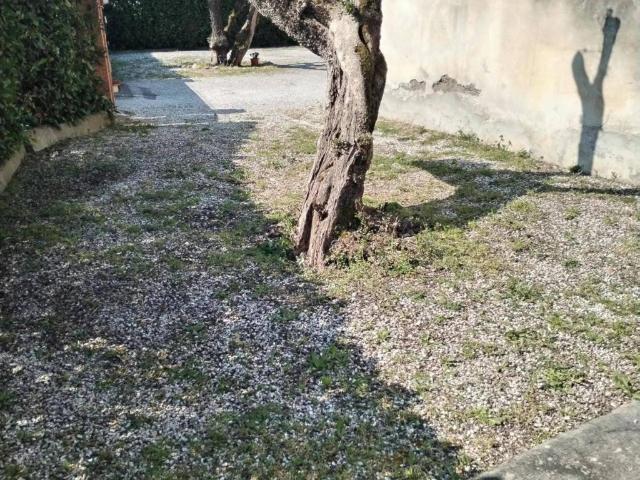 Villa Indipendente in vendita a Montignoso, Toscana