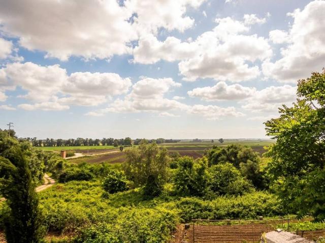 Villa Indipendente in vendita a Massaciuccoli, Massarosa