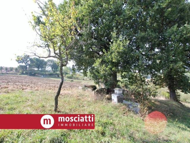 Villa Indipendente in vendita a Marche, Macerata