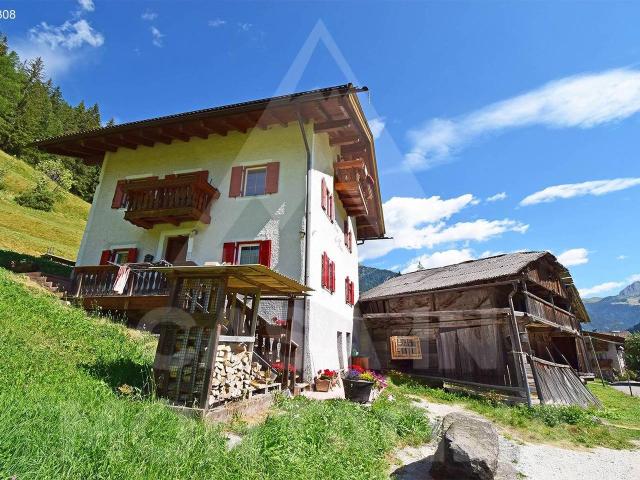 Villa Indipendente in vendita a Comun General de Fascia, Mazzin
