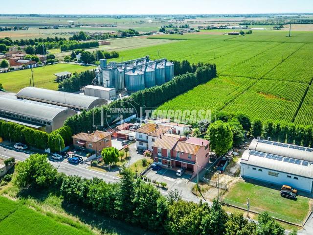 Villa Indipendente in vendita a Nuovo Circondario Imolese, Medicina