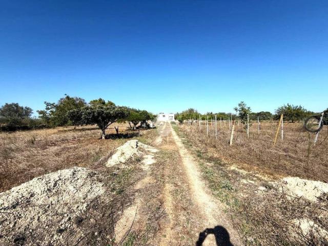 Villa Indipendente in vendita a Puglia, Brindisi