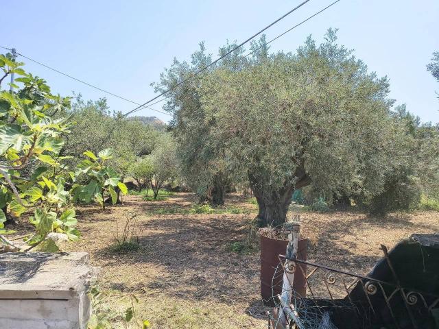 Villa Indipendente in vendita a VI Circoscrizione, Messina