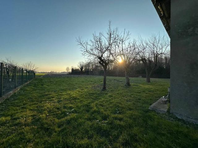 Villa Indipendente in vendita a Mira, Veneto