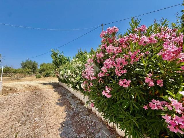 Villa Indipendente in vendita a Puglia, Bari